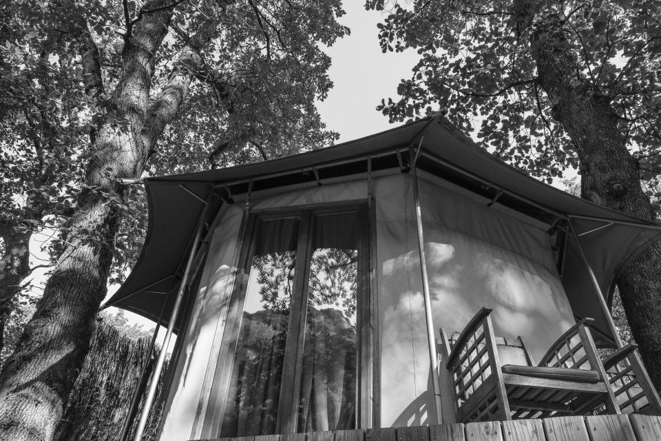 Fabien-Leduc-Artiste-Photographe-2020-LODGE_00087-ConvertImage