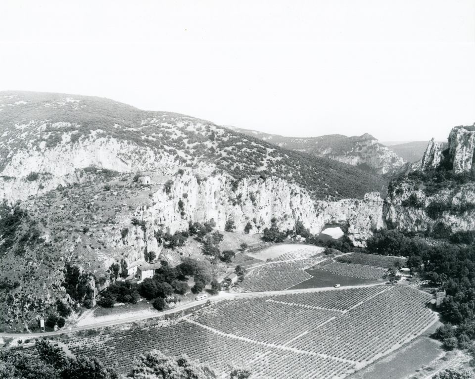 TERREPDA (2)
