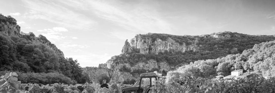 Vignoble du Pont d'Arc